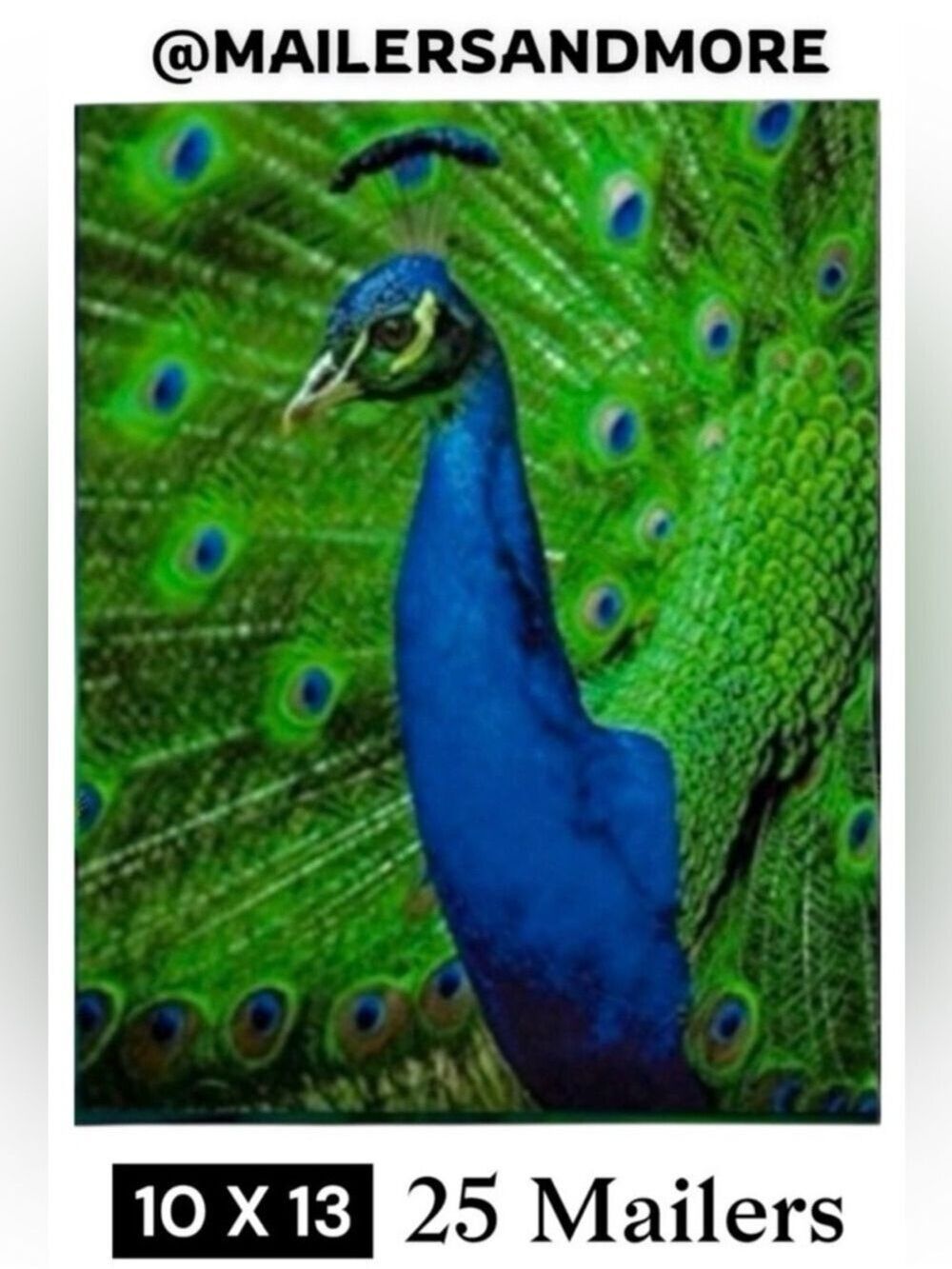 25 10X13 Poly Mailers Royal Peacock PRICE IS FIRM - Picture 2 of 13